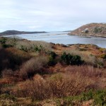 Bishops bench